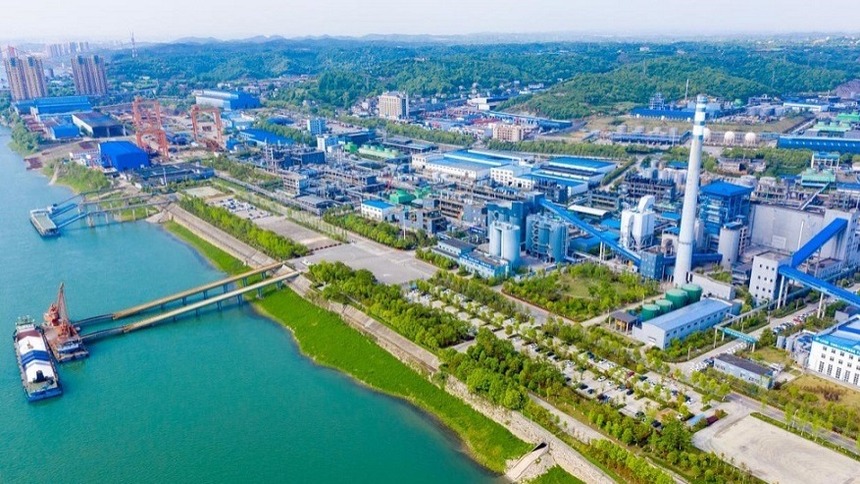江豚多了、河流清了、岸线绿了 宜昌将长江大保护注入城市肌理