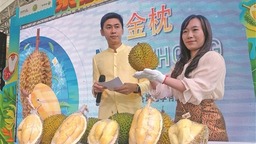 中国市场拉动泰国榴莲出口增长