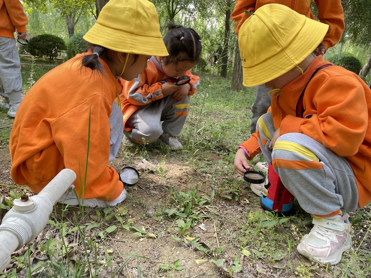图片默认标题_fororder_孩子们用放大镜观察小蚂蚁 (2)