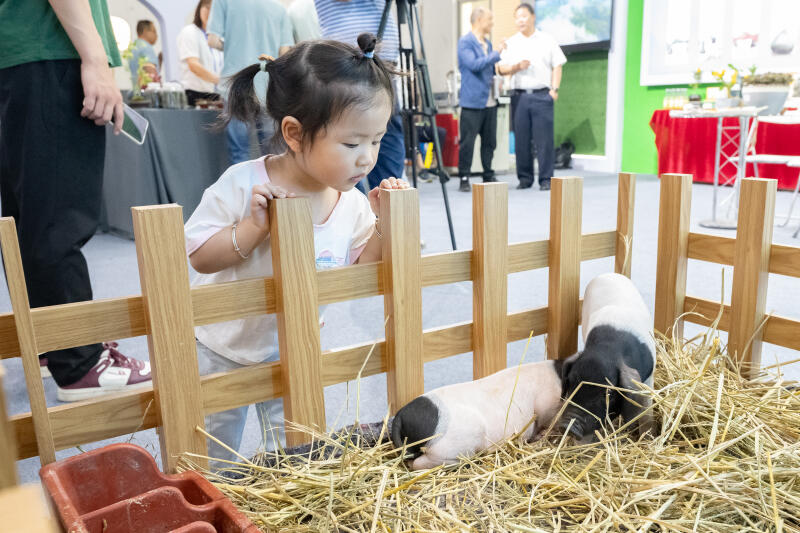 2023浙江种业博览会正式开幕_fororder_W020230517516980386068