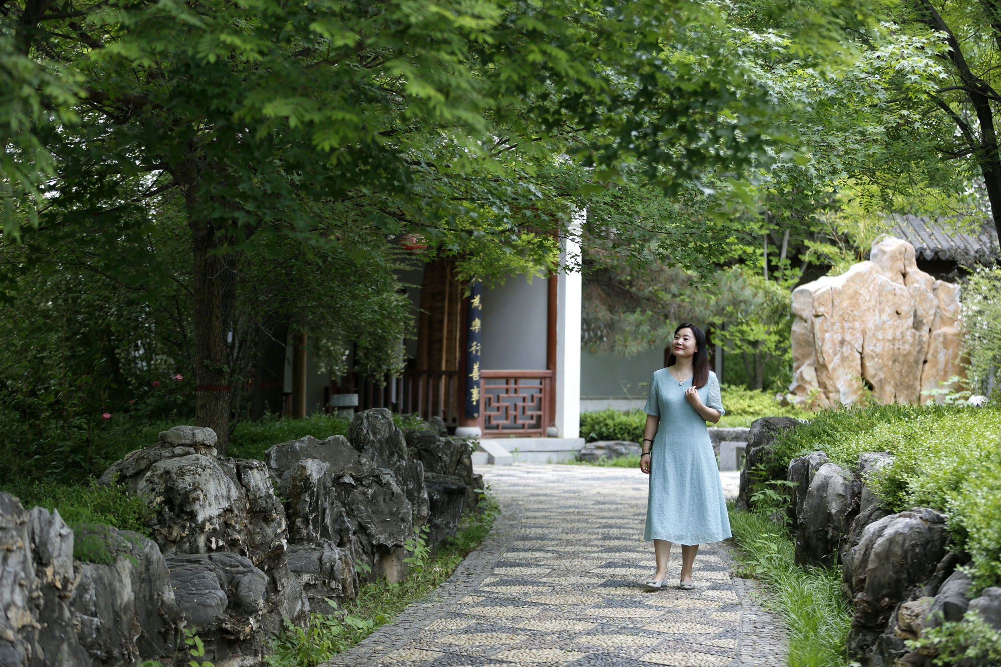 （原创）保定市满城区：满园蔷薇竞芬芳_fororder_游客徜徉在走廊中 摄影 田素然