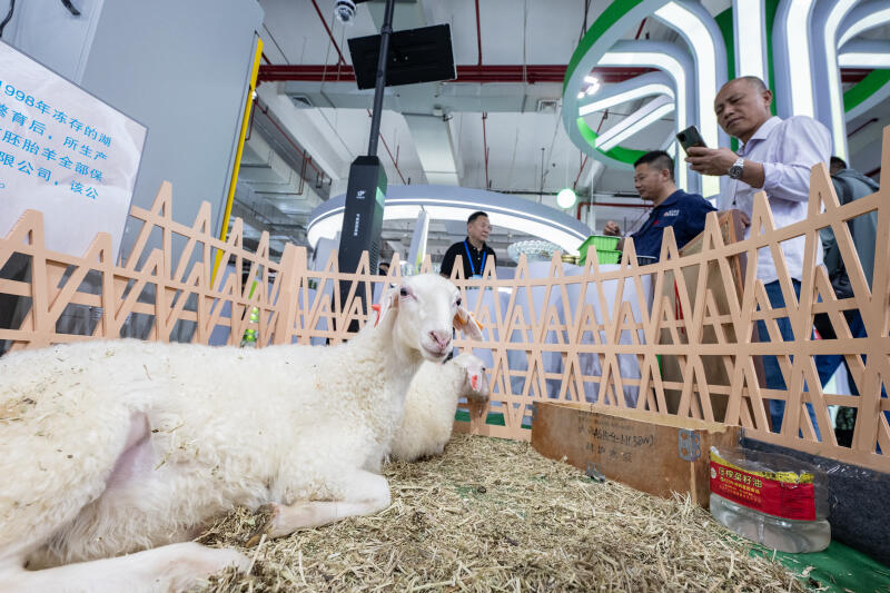 2023浙江种业博览会正式开幕_fororder_W020230517517047483930