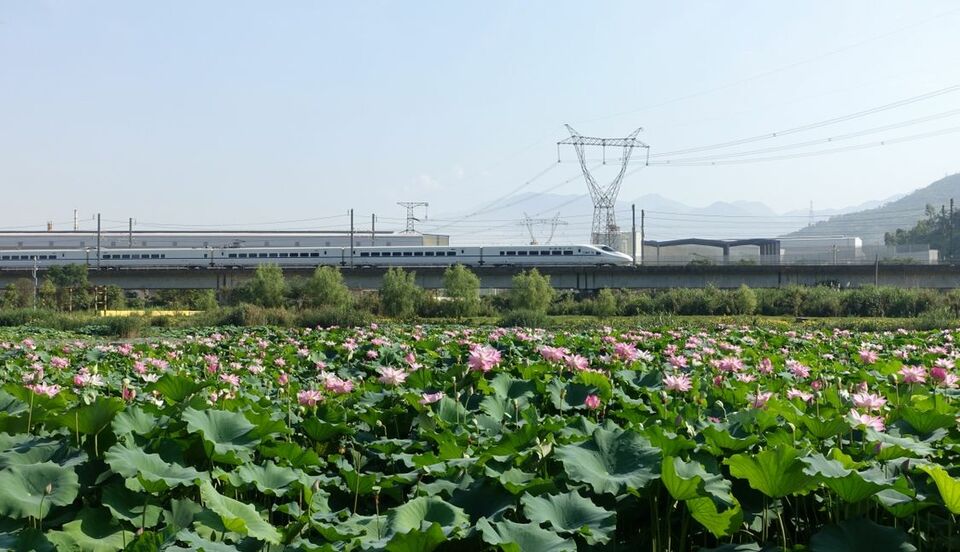 廣西：夏日風景美如畫