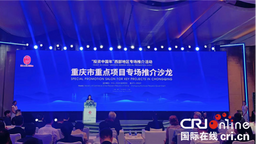 重庆市举办“投资中国年”西部地区专场推介活动