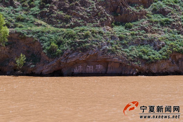 全国网媒记者造访黄河金岸明珠——青铜峡