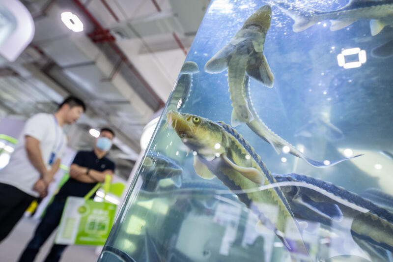 2023浙江种业博览会正式开幕_fororder_W020230517517118666309