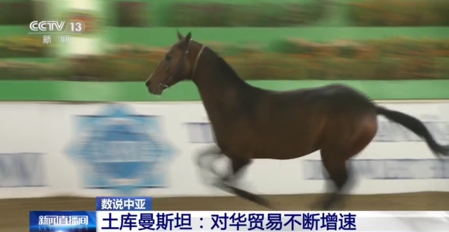 数说中亚丨土库曼斯坦：对华贸易不断增速