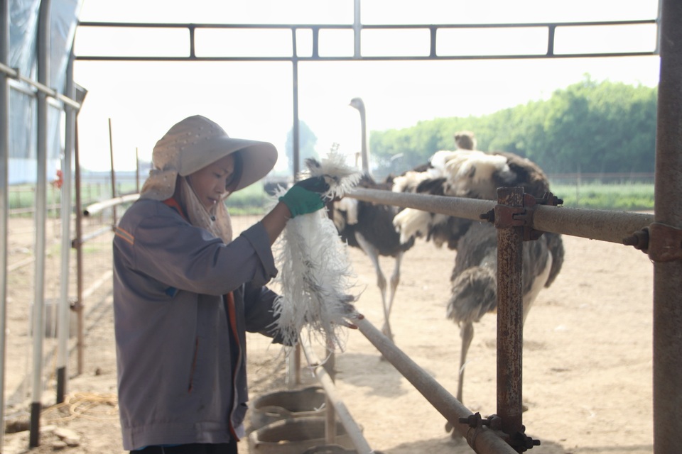 图片默认标题_fororder_2