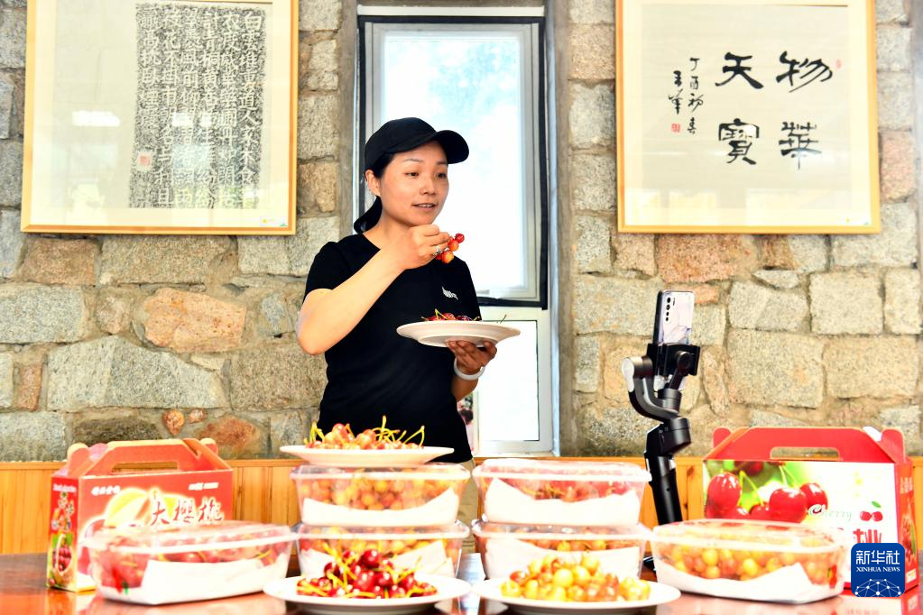 山東泰安：萬畝紅櫻桃 結出“致富果”_fororder_4