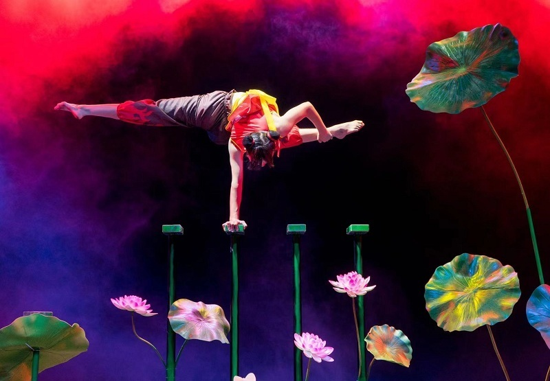Sichuan Zigong's Acrobatic Work "Inverted Nezha" Won the Silver Medal at the International Circus Festival_fororder_杂技2