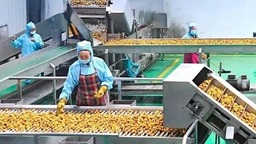 贵州水城：着力打造刺梨产业 “五型”村居助力乡村振兴