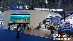 聚焦西洽会丨重庆武隆展厅亮相西洽会