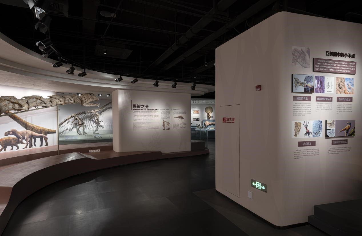 （张）喜讯连连 自贡恐龙博物馆捧回多个奖项_fororder_3恐龙探秘馆基本陈列