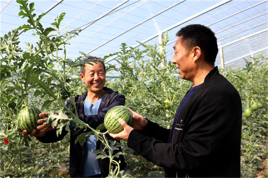 范县濮城镇镇长书记图片