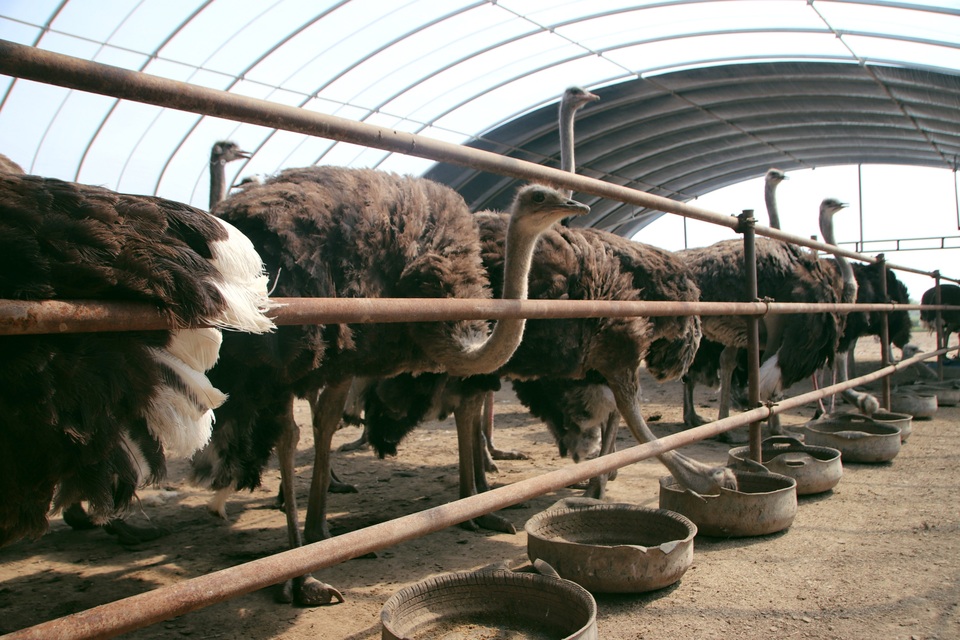 图片默认标题_fororder_1