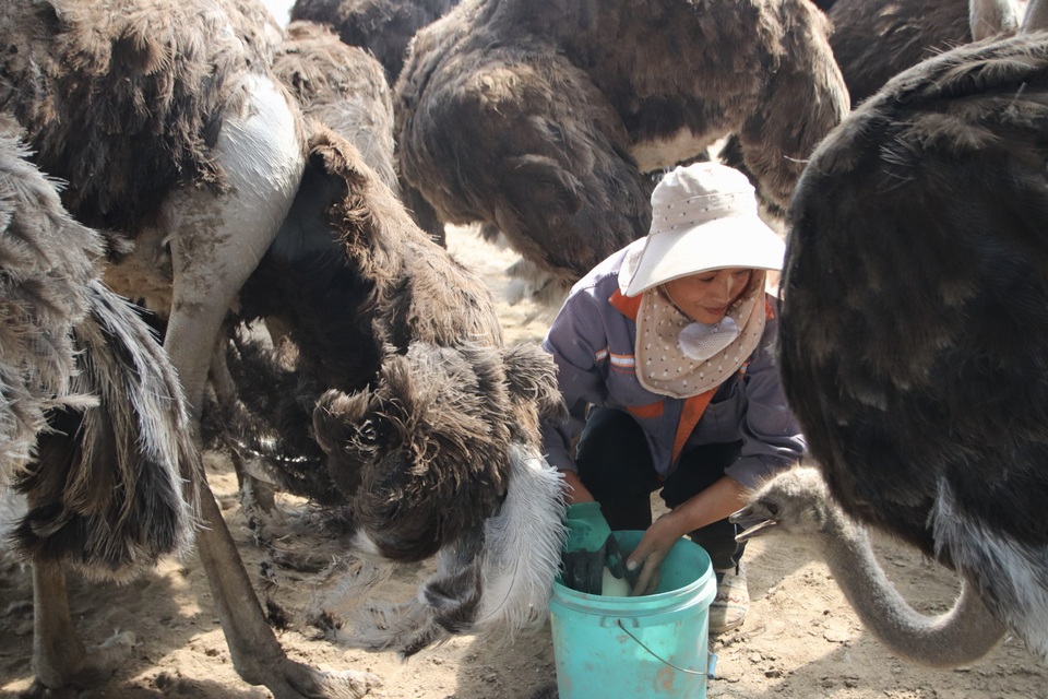 图片默认标题_fororder_3