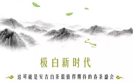 2018春茶盛会即将召开 极白开启安吉白茶新时代
