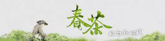 2018春茶盛会即将召开 极白开启安吉白茶新时代