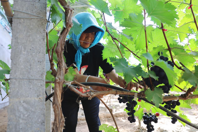 圖片默認標題_fororder_圖片10