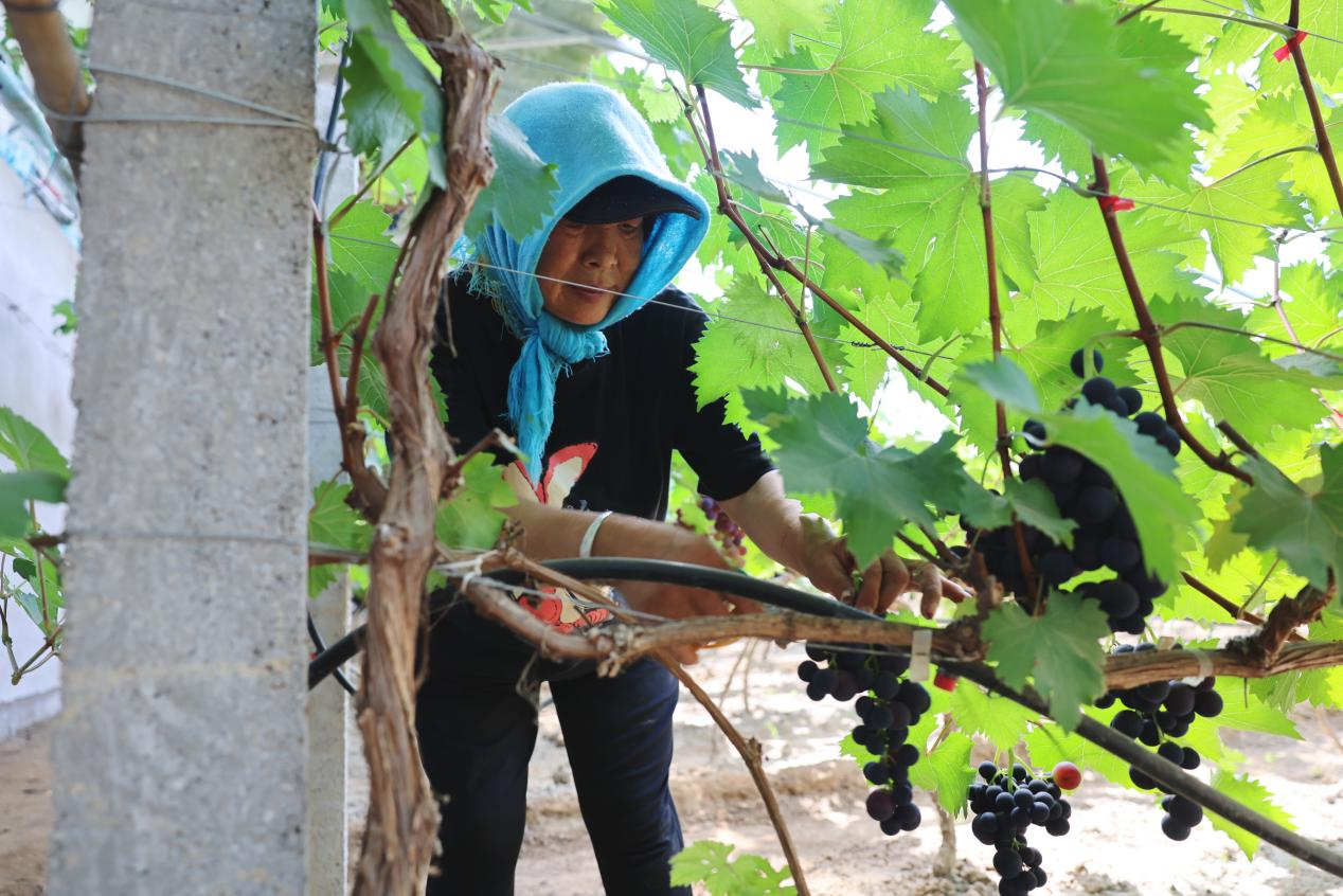 图片默认标题_fororder_图片10