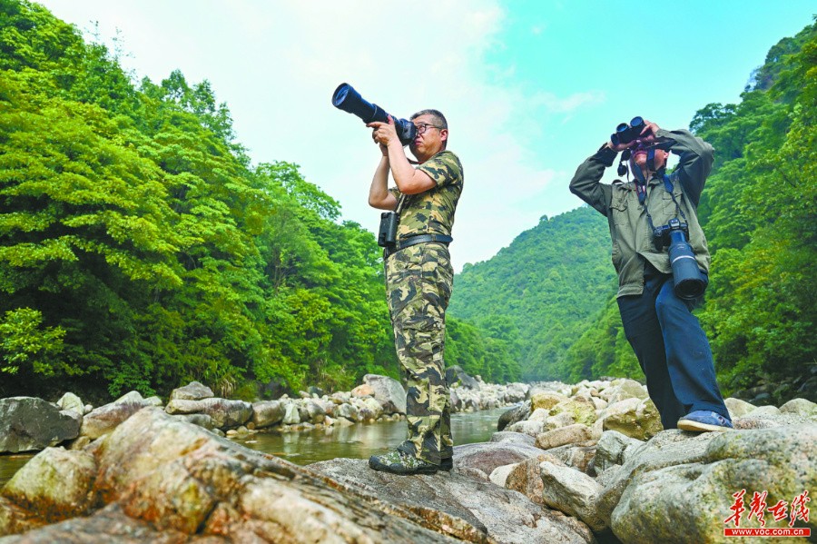 湖南：生物多样 我们守护