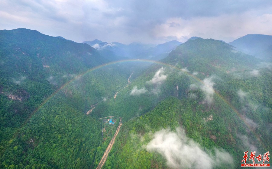 湖南：生物多样 我们守护
