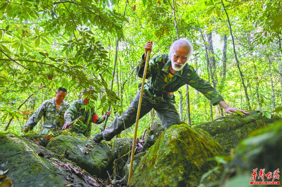 湖南：生物多样 我们守护