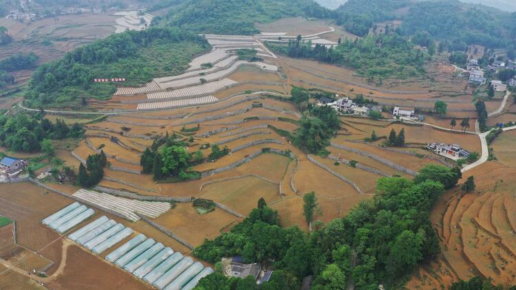 点石成金——现代山地农业现代化的仁怀样板