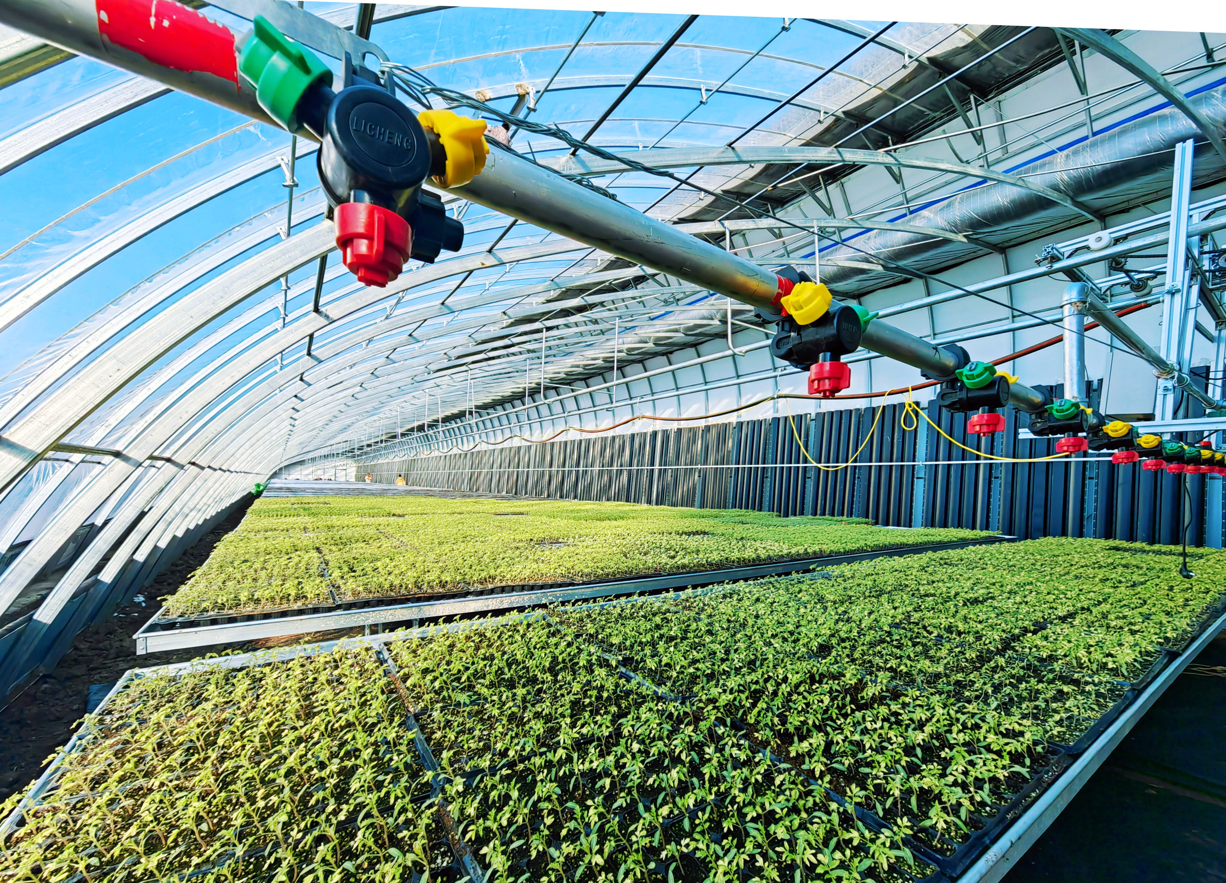 协同奔赴新征程 ——北大荒集团牡丹江分公司推进“二次创业”工作纪实_fororder_宁安农场建设智能化蔬菜育苗基地