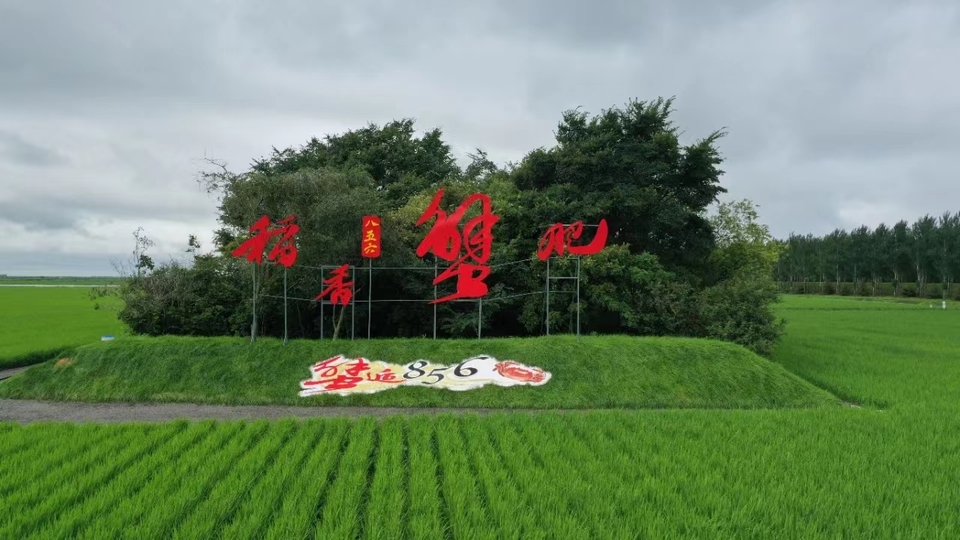 协同奔赴新征程 ——北大荒集团牡丹江分公司推进“二次创业”工作纪实_fororder_八五六农场推进农文旅产业融合