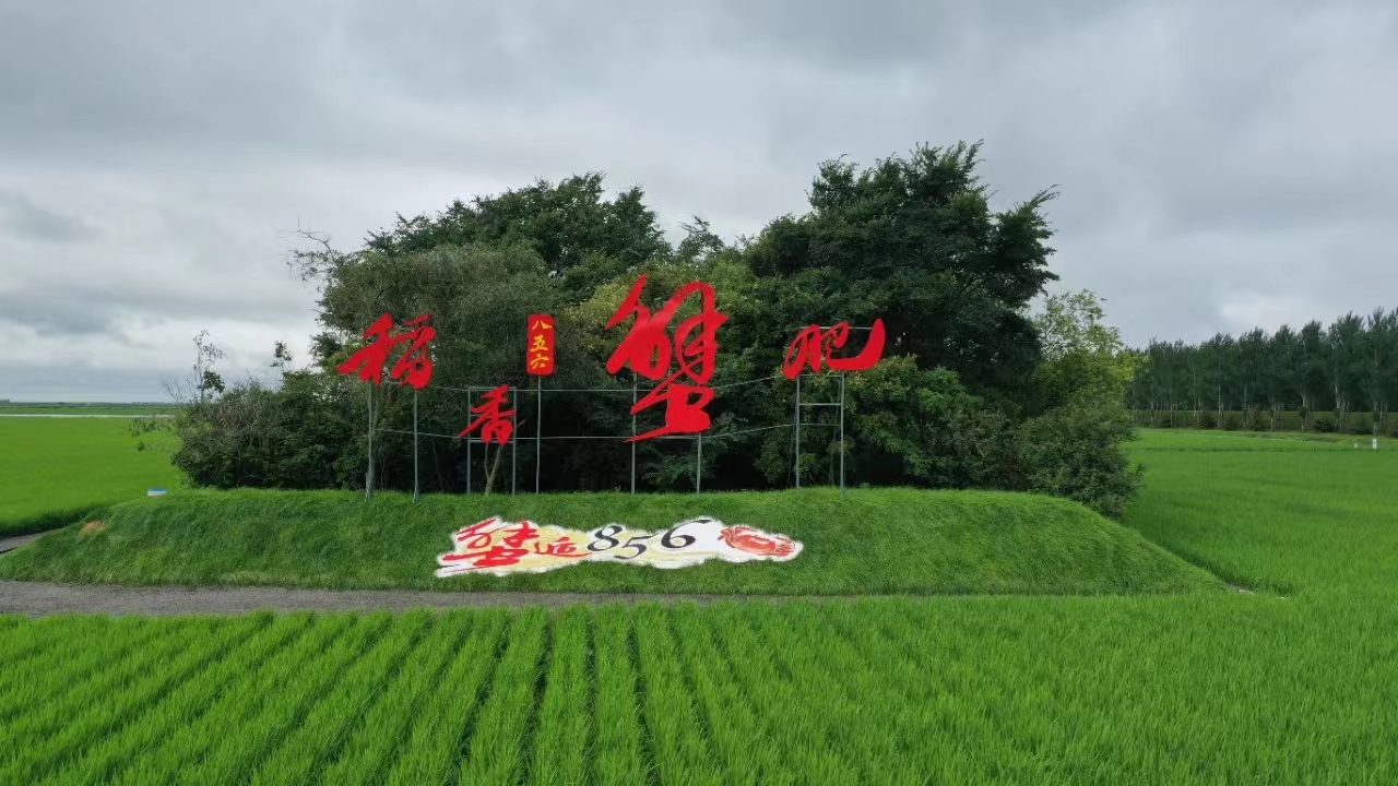 协同奔赴新征程 ——北大荒集团牡丹江分公司推进“二次创业”工作纪实_fororder_八五六农场推进农文旅产业融合