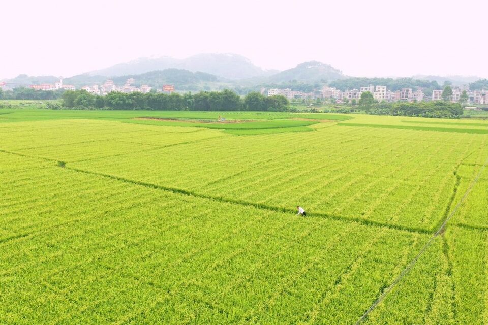 广西：程阳风雨桥美轮美奂