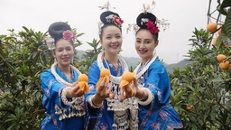 贵州台江：发展枇杷“金果果”助力乡村振兴