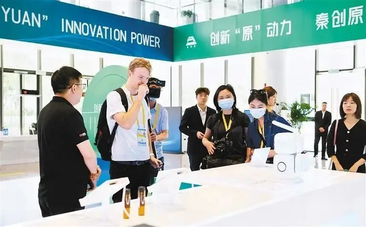 灃西新城:這個“蘿蔔”會下棋_fororder_圖片1