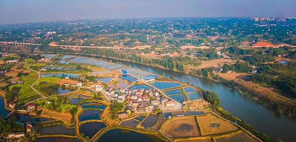 （张）自贡市沿滩区沿滩镇詹井村全力以赴创建全国文明村_fororder_1沿滩镇詹井村