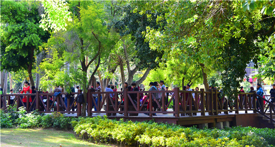 【高清图1】【滚动新闻】春分十里 踏春正当时