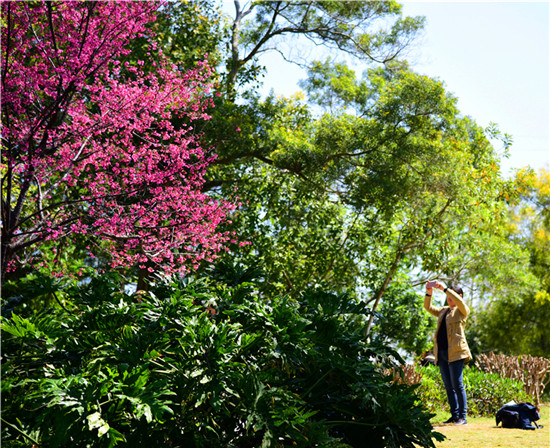 【高清图1】【滚动新闻】春分十里 踏春正当时