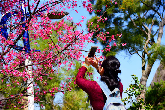 【高清图1】【滚动新闻】春分十里 踏春正当时