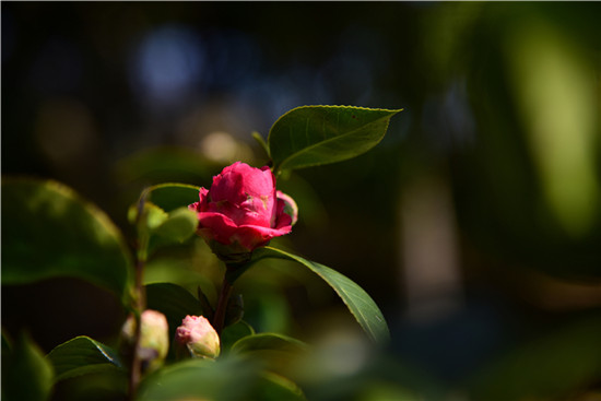 【高清图1】【滚动新闻】春分十里 踏春正当时