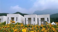 【太行山上看乡村振兴】焦作修武县：高能级文旅赋能乡村振兴