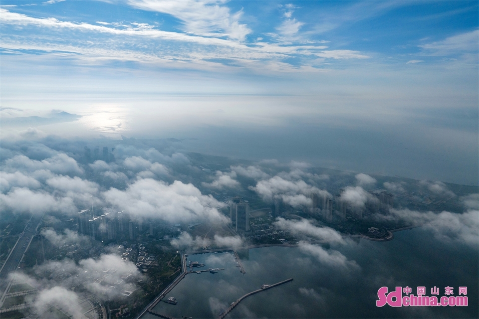 山东青岛：云雾缭绕 美如仙境