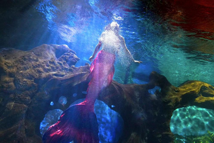 【奋进有我看曲江】用热爱与坚守 擦亮西安文旅金字招牌_fororder_图片5