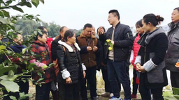 重庆市出台乡镇农业服务机构农业技术人员高级职称“定向评价定向使用”办法