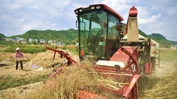 贵州瓮安： 18000亩油菜喜获丰收 机械助力收割忙