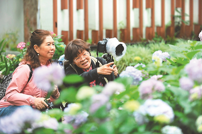 南京中山植物園2023年將免費開放10天
