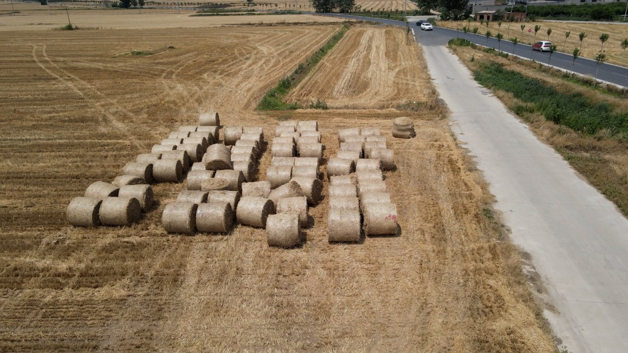 图片默认标题_fororder_图片12