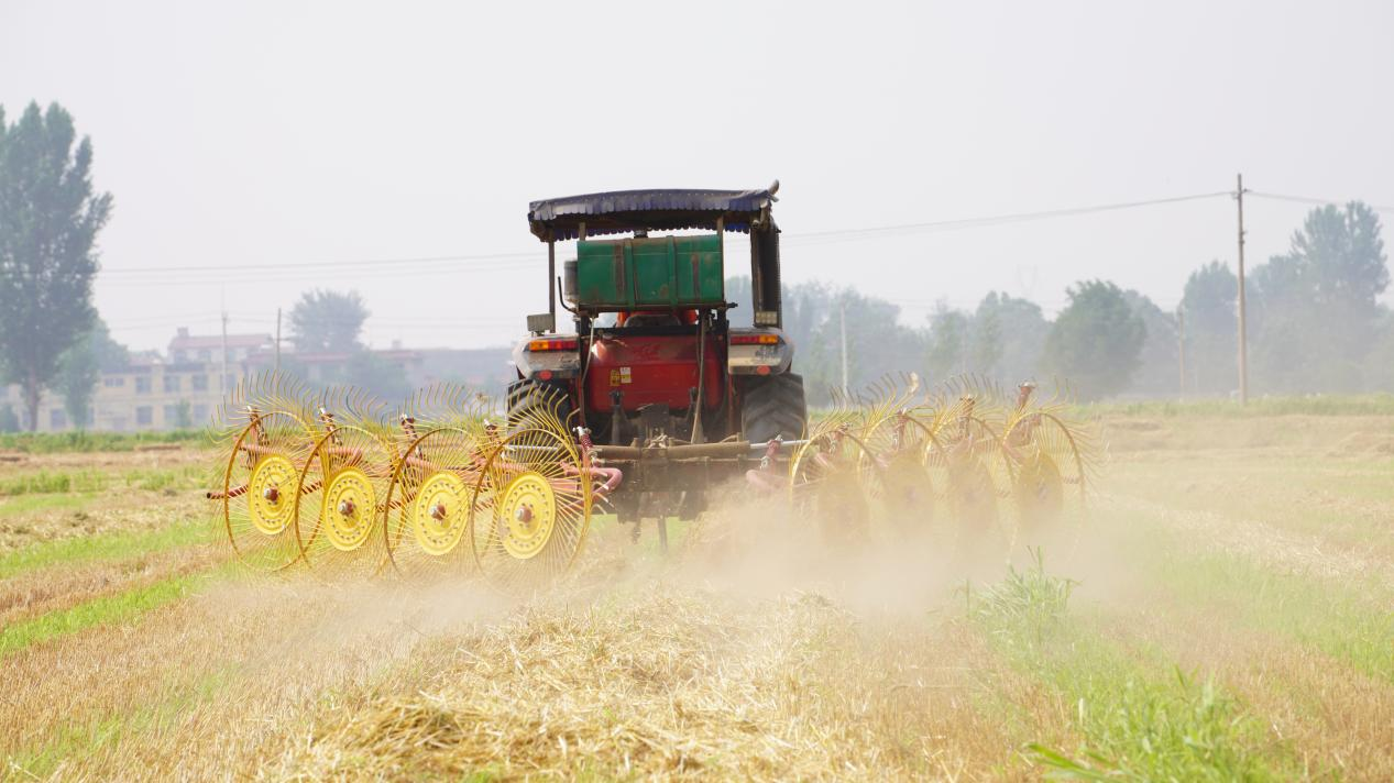 图片默认标题_fororder_图片9