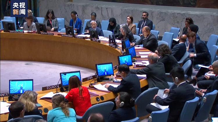 安理会举行中非共和国问题公开会 中方代表：期待国际社会提供支持