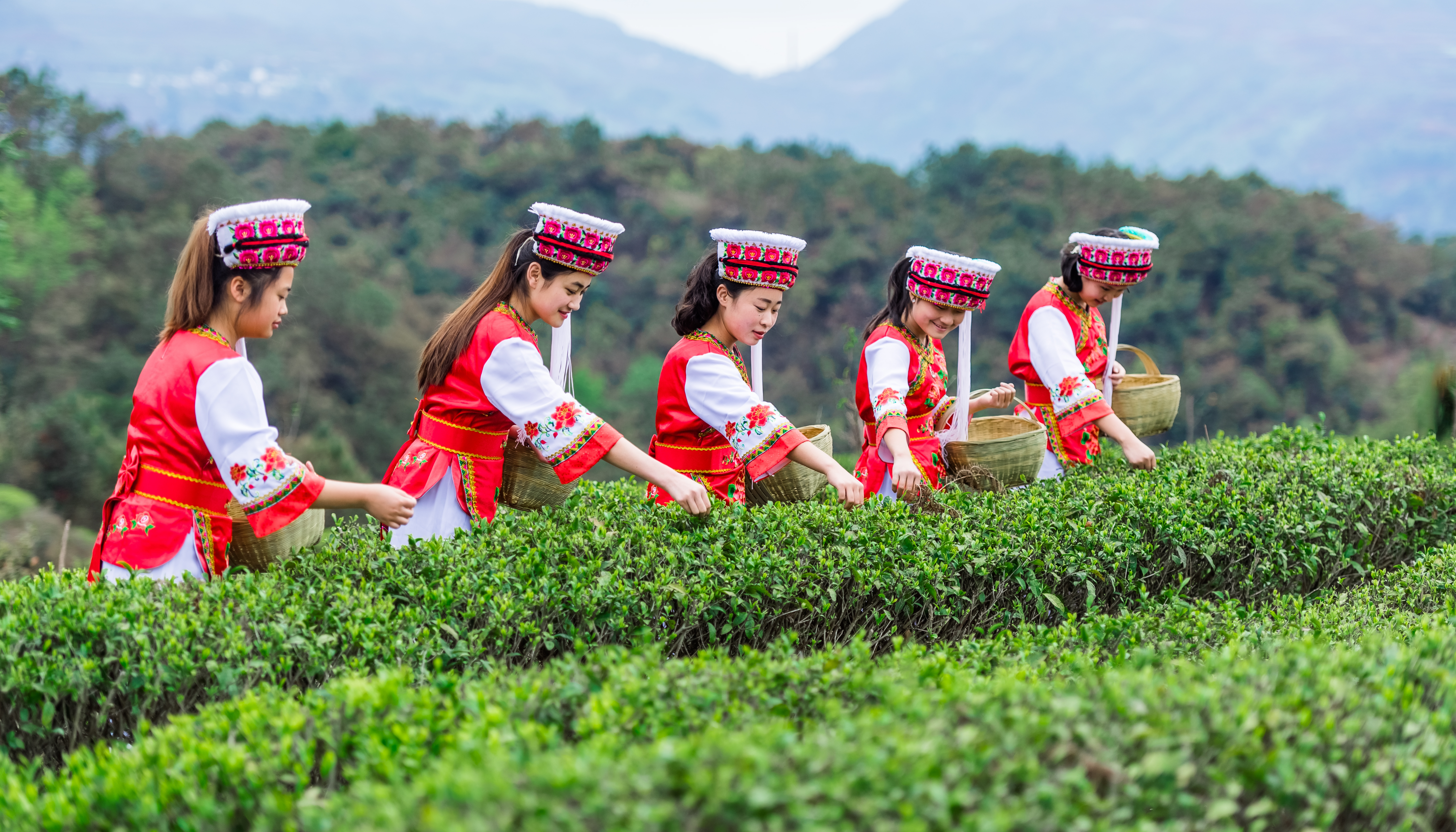 貴州水城：聚焦宣傳教育 以文教夯實中華民族共同體意識