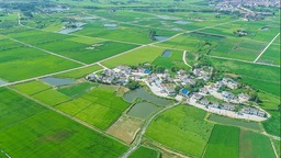 湖北应城：“万亩方”农田建设助推乡村振兴